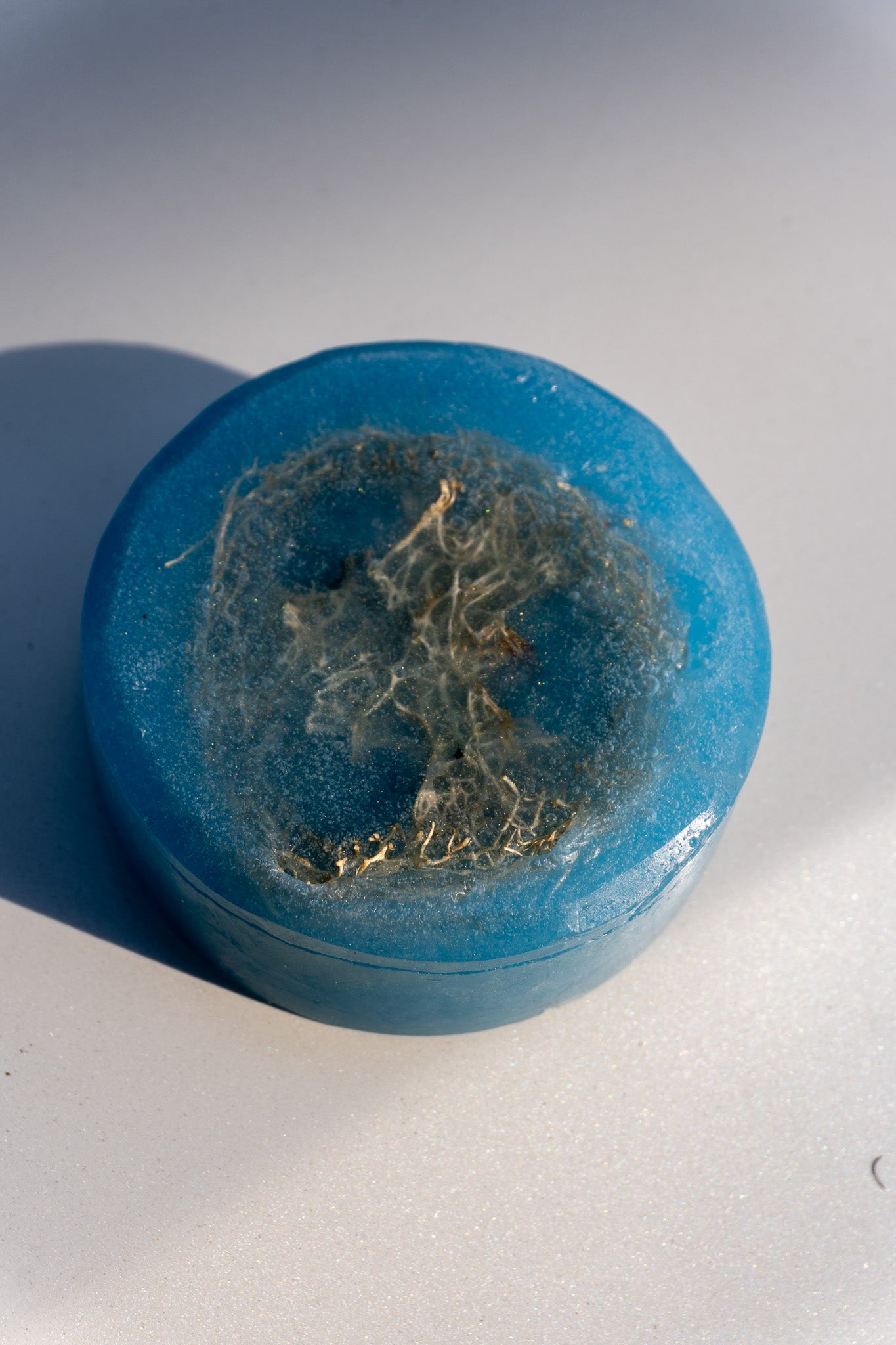 Loofah Soap