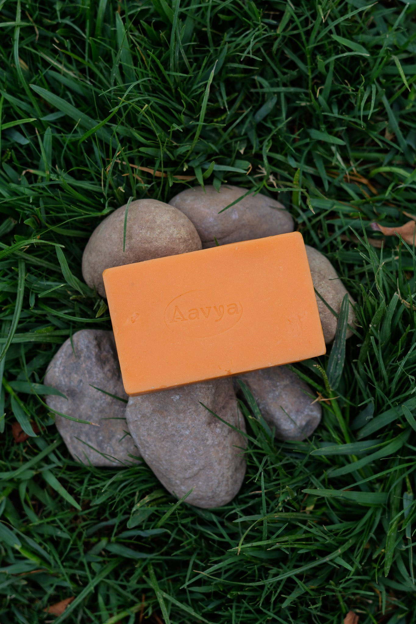 Camel Orange